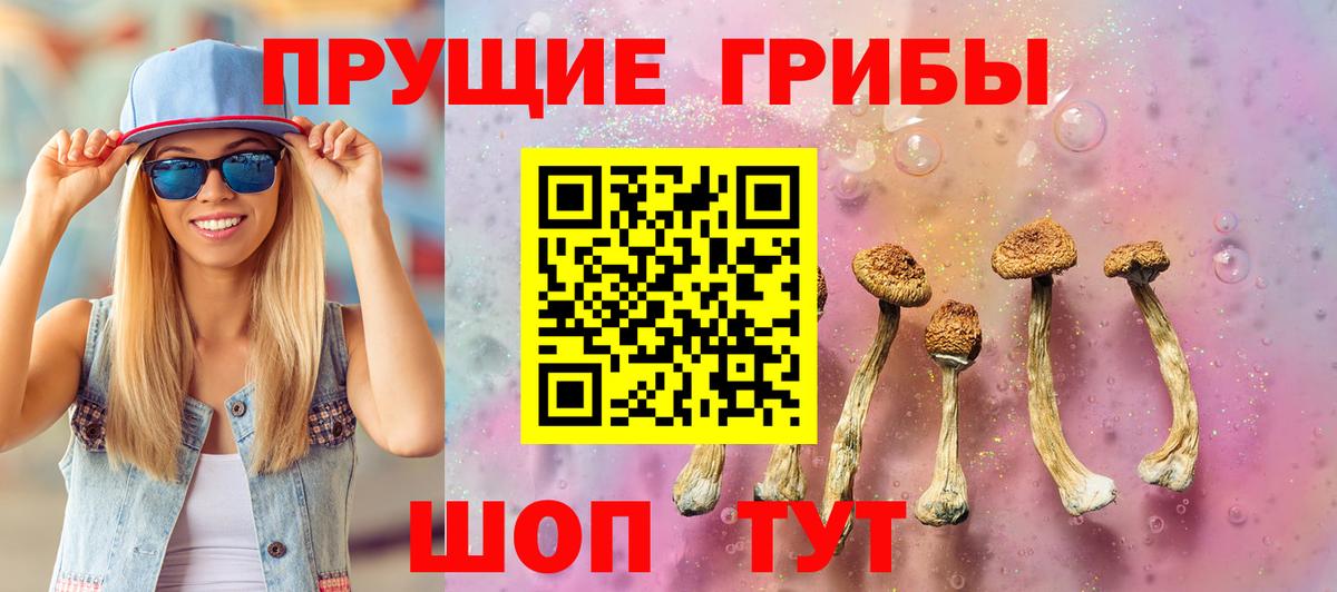 Псилоцибиновые грибы Psilocybe Калач-на-Дону
